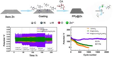 Synergistic polypyrrole coating and electrolyte engineering toward high-performance Zn-based batteries†