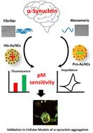 Differentiating α-synuclein aggregates using charge-sensitive gold nanoclusters†