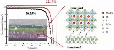 Greatly improved efficiency and stability of planar perovskite solar cells via BDADI interfacial modification†