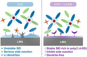 Suppression of electrolyte decomposition and protection of the lithium metal anode via a lactone additive†