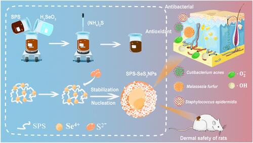 Development of Polysaccharide-Stabilized Selenium Disulfide Nanoparticles for Enhanced Antioxidant and Antimicrobial Applications in Dermatology