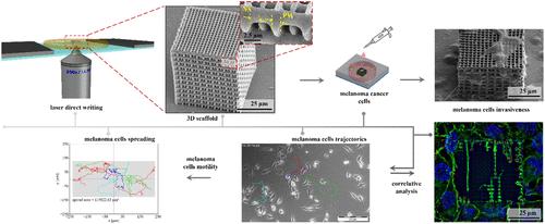 Tissue-Like Scaffolds Created by Two-Photon Polymerization for Testing Cancer Cell Behavior in Confined Environments