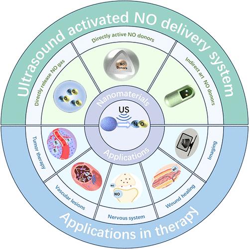 Ultrasound-Activated Nitric Oxide Release Nanoplatforms and Their Biomedical Applications