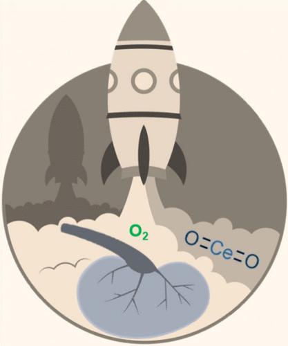Bubble Sweeping Nanomotors for Acute Kidney Injury Therapy