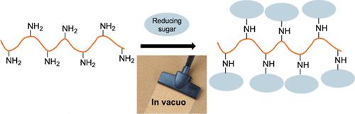 In Vacuo Glycation of Poly(l-Lysine): A Simple Method to Install Pendent Sugars