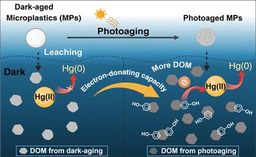 Dark Reduction of Hg(II) by Dissolved Organic Matter Derived from Aging Microplastics: Mechanisms and Implications