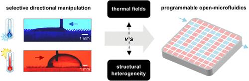 Competition and Synergy in Programmable Open Microfluidics: Thermal Fields vs Structural Heterogeneities