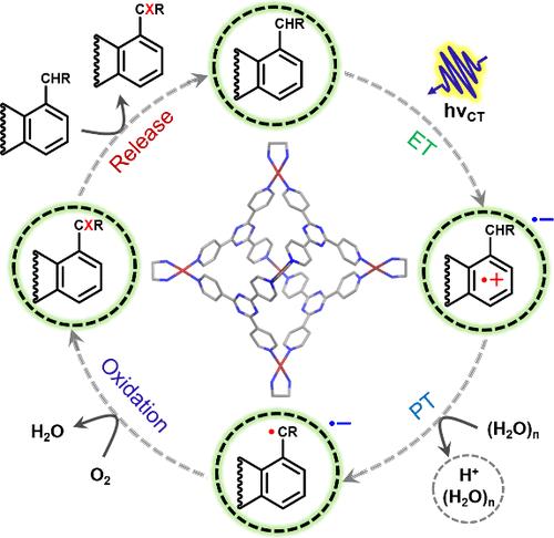 Host–Guest Charge-Transfer Mediated Photoredox Catalysis Inside Water-Soluble Nanocages