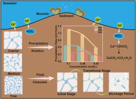 Carbonate precipitation characteristics in porous media of deep-sea cold seep environment by X-ray CT imaging