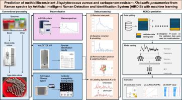 Prediction of methicillin-resistant Staphylococcus aureus and carbapenem-resistant Klebsiella pneumoniae from Raman spectra by Artificial Intelligent Raman Detection and Identification System (AIRDIS) with machine learning