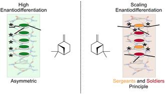 Spin me right round – a versatile BTA-based alignment media toolbox for enhanced enantiodiscrimination†