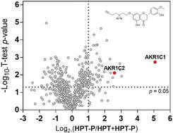Chemical proteomics reveals hesperidin and hesperetin as AKR1C1/2 inhibitors with chemosensitization effect†