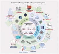 Engineered PD-L1 nanoregulators for enhanced tumor immunotherapy
