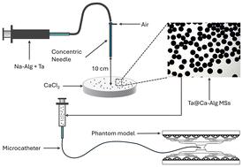 Image-guided embolization using Ta@Ca-Alg microspheres with optimized mechanical performance†