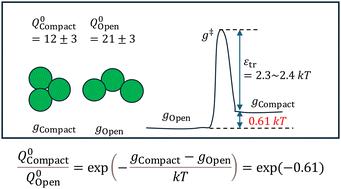 Stable non-compact prenucleation clusters of attractive colloidal crystals observed directly†