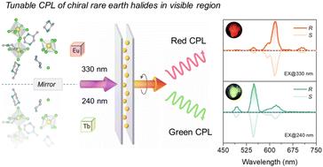 Tuning the visible circularly polarized luminescence in highly emissive chiral terbium and europium chlorides†