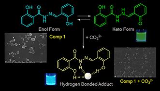 ESIPT-active fluorescent probes for ratiometric analysis of carbonate ions in aqueous media: structural modifications for enhanced selectivity and response†