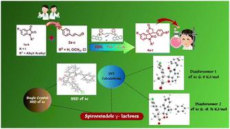 Efficient synthesis of spirooxindole γ-lactones catalysed by new bis-benzimidazolinium NHC precursors†