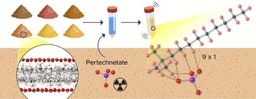 Molecular-Scale Evaluation of Technetium Retention by Functionalized Organoclays