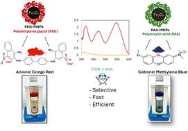 Selective, effective, and rapid removal of cationic and anionic organic dyes using various tailored polymer-coated (PEG, PVP, PAA/starch) magnetite nanoparticles