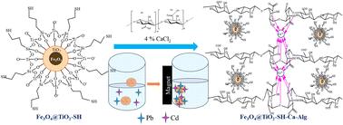 An innovative approach towards the selective recovery of Pb(ii) and Cd(ii): thiol-functionalized TiO2-based magnetic core–shell nanoparticle-loaded hydrogel†