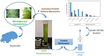 Assessment of reactor hydrodynamics and treatment effectiveness of secondary treated refinery wastewater in an airlift photobioreactor†