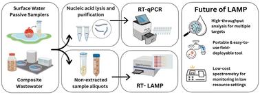 Isothermal amplification as a water safety tool: rapid detection of viruses in surface water and wastewater†