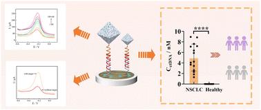 Construction of a sandwich-type DNA biosensor based on functionalized MOF@COF nanomaterials for the detection of NSCLC biomarker ctDNA†
