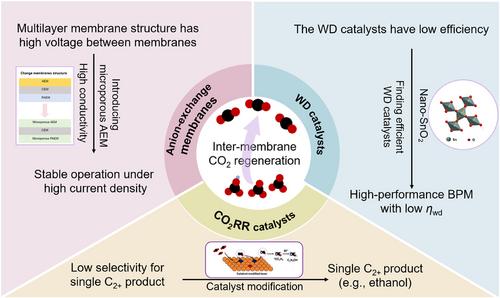 The Impact of CO2 Regeneration Positions on Electrochemical CO2 Reduction