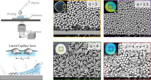 Suppression of the Coffee-Ring Effect for Photonic Structures Based on the Shape of Particles