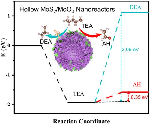 Hollow MoS2/MoO3 Nanoreactors Optimize Triethylamine Oxidation Route for Boosted Sensing Performance