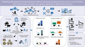 Multidrug-resistant extended-spectrum beta-lactamase-producing Escherichia coli in poultry and cattle farms in India: Prevalence and survey-based risk factors
