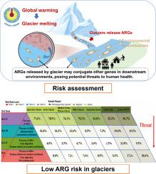 Profiles and risk assessment of antibiotic resistome between Qinghai-Xizang Plateau and polar regions