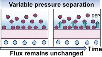 Piezoelectric PVDF membranes for emulsion separation with constant flux and high efficiency†