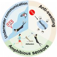 Anti-swelling and adhesive hydrogels enable amphibious sensors with long-lasting conductivity, adhesion and robustness†