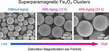 Superparamagnetic Fe3O4 clusters with a wide-range size tunability†
