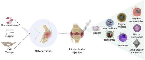 Current status and future perspectives of research on intra-articular drug delivery systems for osteoarthritis therapy
