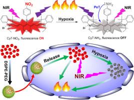 A hypoxia-leveraged near-IR theranostic nanomedicine enables imaging-guided tumor diagnosis and photothermal therapy