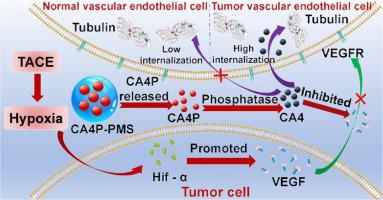 Quaternary ammonium salt microspheres loaded with vascular disrupting agents for targeted interventional therapy of hepatocellular carcinoma