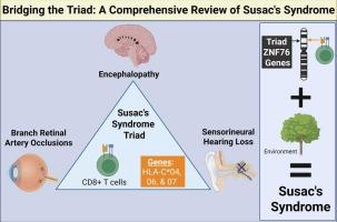 Bridging the triad: A comprehensive review of Susac's syndrome