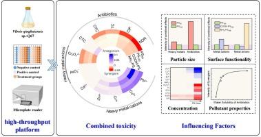High-throughput screening of combined toxicity of nanoplastics and scoexisting pollutants using luminescent bacterium