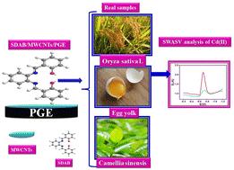 A novel synthesized SDAB/MWCNTs sensor to investigate Cd(ii) in Oryza sativa L., egg yolk and Camellia sinensis of real samples using SWASV technique
