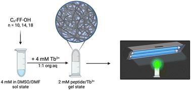 Lanthanide coordination in N-acyl diphenylalanine organohydrogels