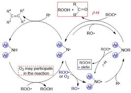 Theoretical investigations of the catalytic antioxidation mechanism of diarylamine and the coordination effects of Fe(iii) and Fe atoms