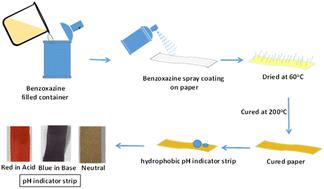Development of new polybenzoxazine-coated cellulose strips for extreme acid–base indicator kit applications
