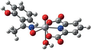 Synthesis and Computational Elucidation of a New Dipicolinato-Vanadium(V) Complex: Crystal Structure, Hirsfeld Surface, FMO, MEP, and NCI Studies
