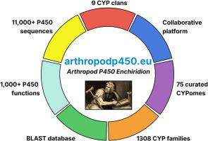 The arthropod P450 Enchiridion: An integrated web resource for research on P450s