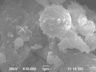 Predictive modeling of compressive strength in pond ash bricks reinforced with cement and stone dust using machine learning