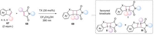 Thioxanthone: A Benchmark Photocatalyst for Organic Synthesis