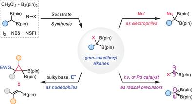 Synthesis and Application of Geminal Halodiborylalkanes: Recent Advances and Future Perspectives